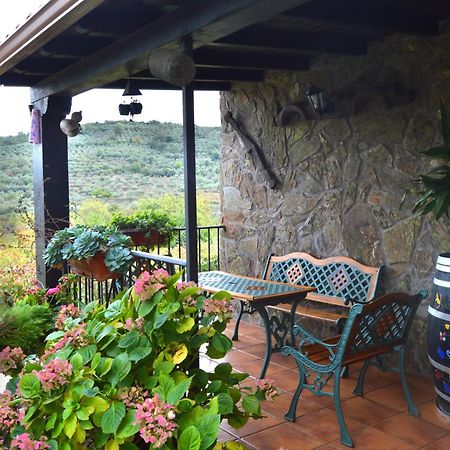 Casa Rural Los Olivos Sotoserrano Esterno foto