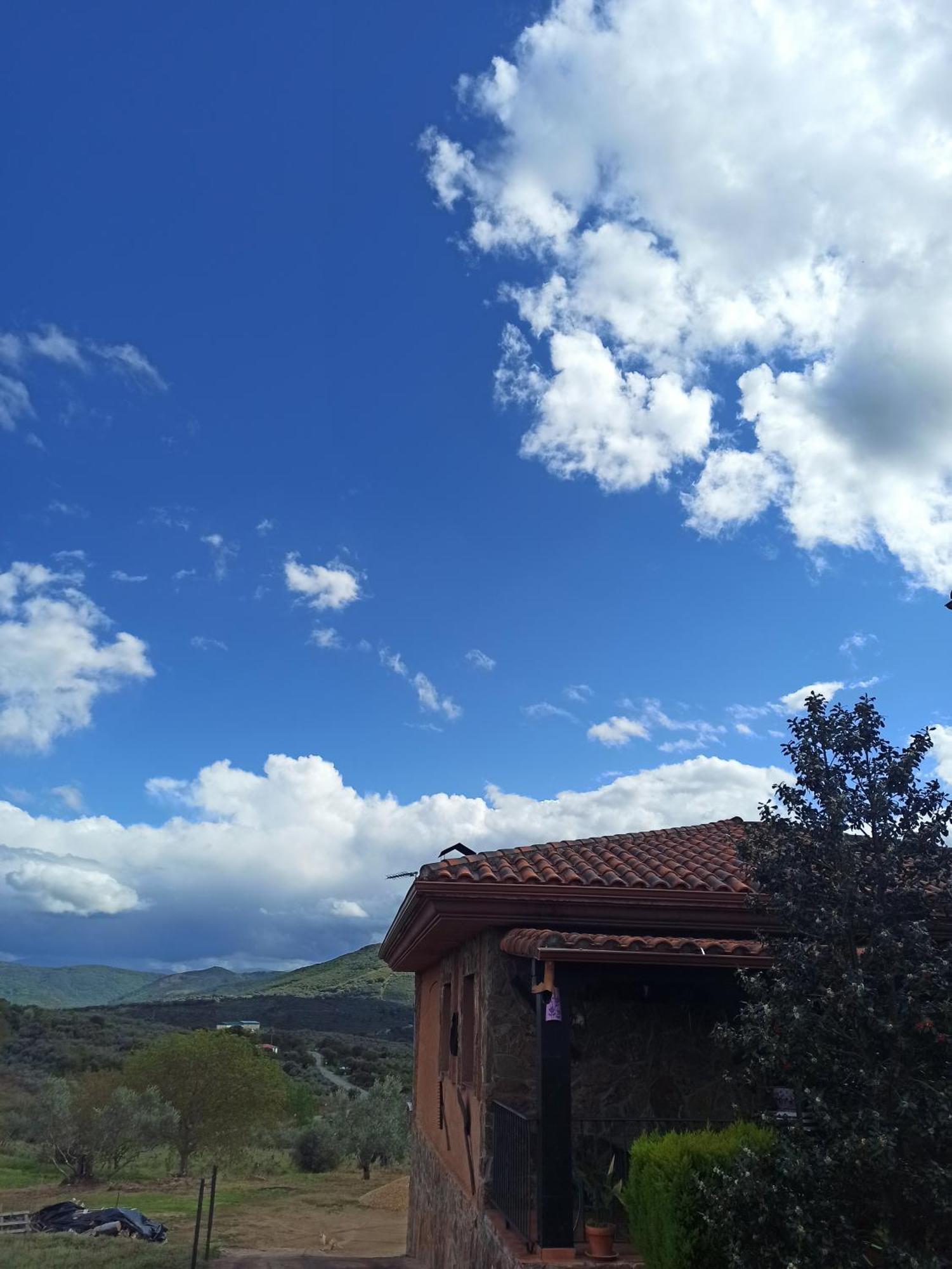 Casa Rural Los Olivos Sotoserrano Esterno foto