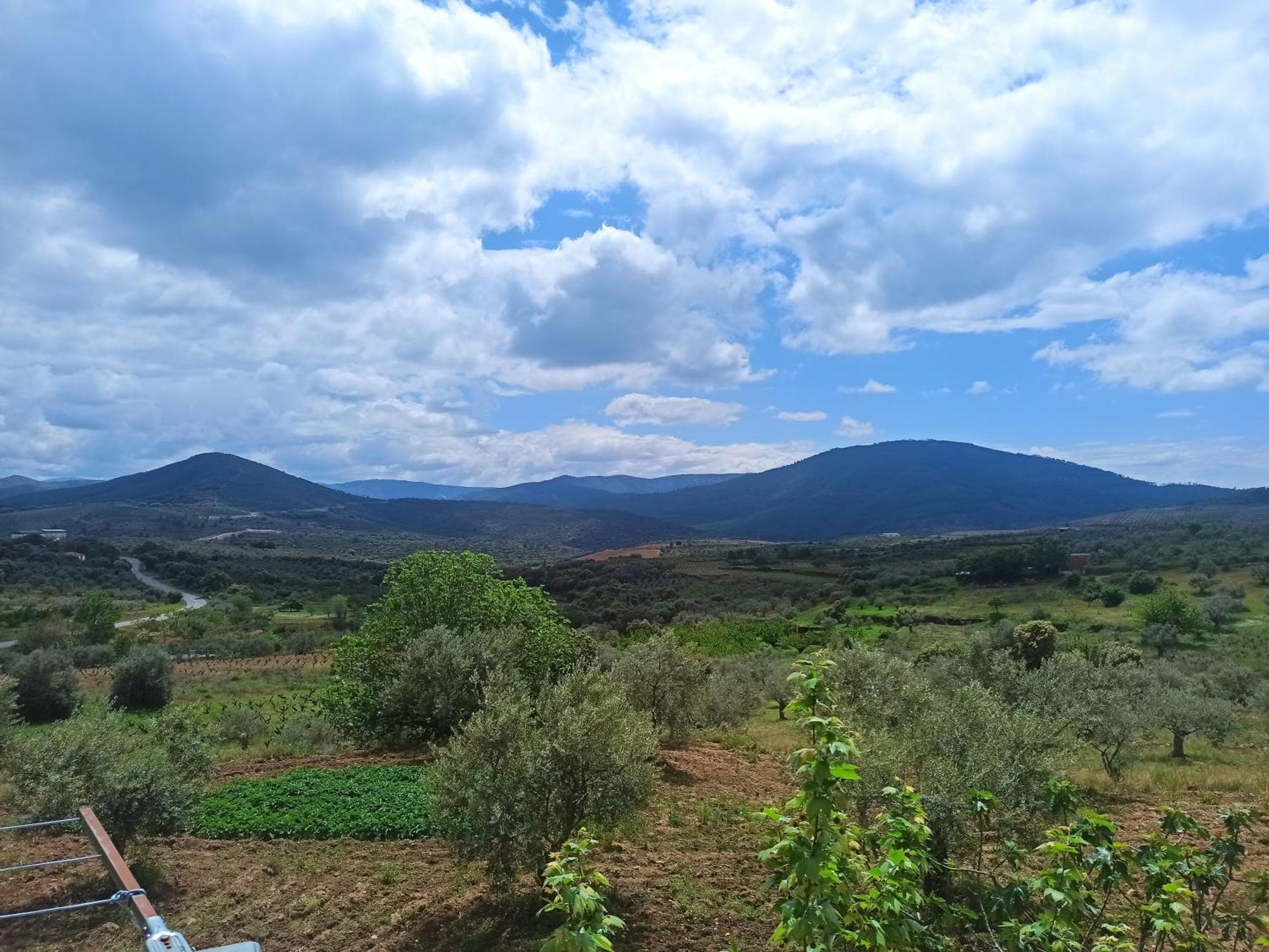 Casa Rural Los Olivos Sotoserrano Esterno foto